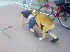 un perro se folla a su dueña en el parque