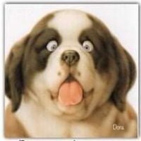 fts's Avatar