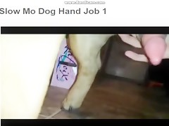 Thumb 19