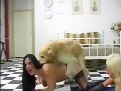 two sluts and cock dog