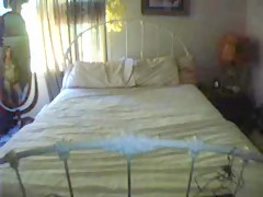 my dog´s toy