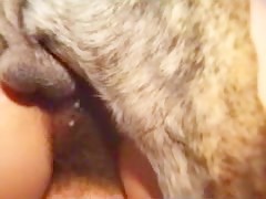Thumb 17