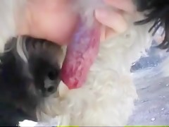 Thumb 13