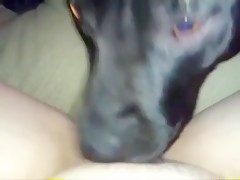 andressa and may dog