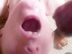 pig fucks a gay