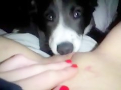 Thumb 19
