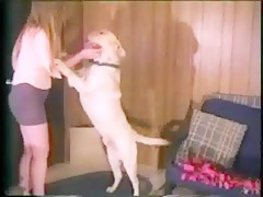 huge dog cock fuck so good her pussy