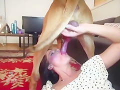 Dog Cum Shot Videos