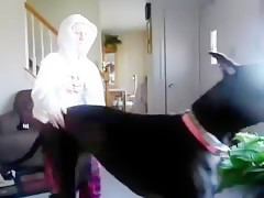 bended by big dog